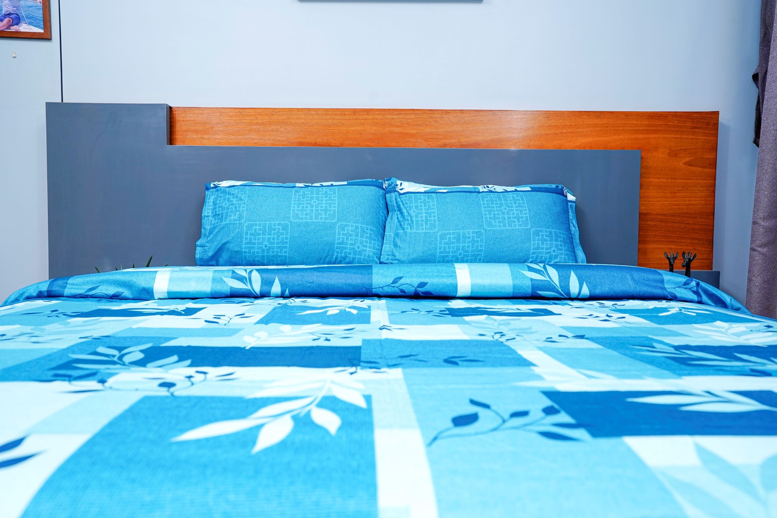 Ultra Soft Solid Print Queen Size Cotton Bed sheet, Lightweight Breathable & Shrink Free, contains 2 Pillow Covers