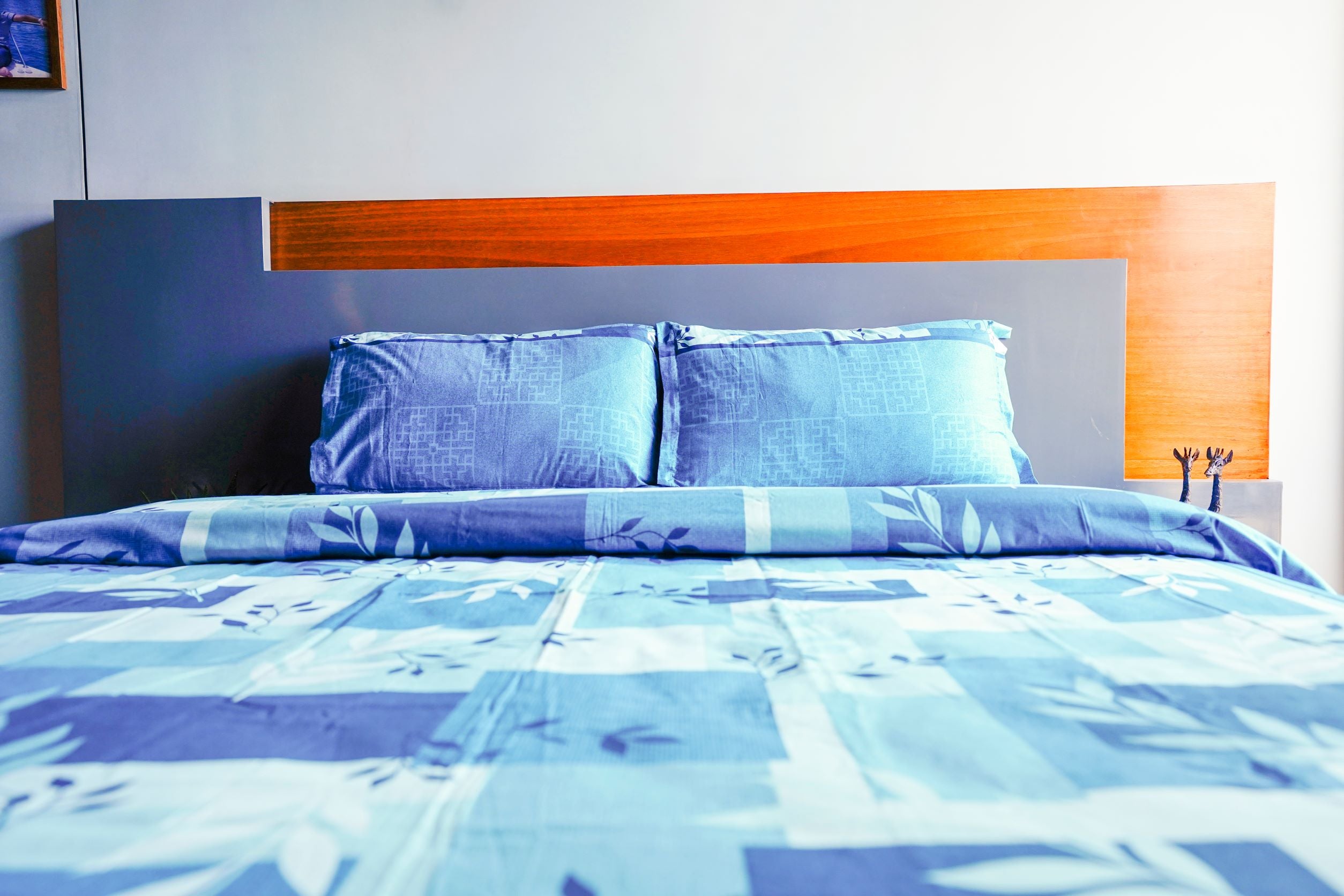 Ultra Soft Solid Print Queen Size Cotton Bed sheet, Lightweight Breathable & Shrink Free, contains 2 Pillow Covers